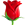Rose1